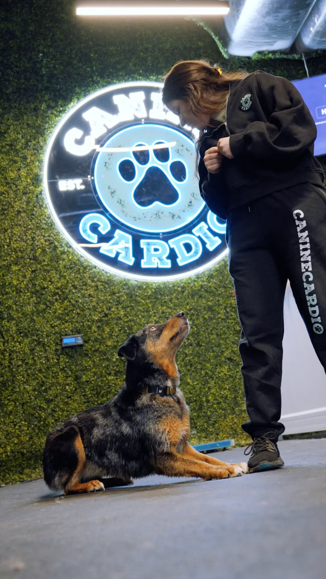 A Canine Cardio trainer working with a dog beneath the glowing Canine Cardio neon sign