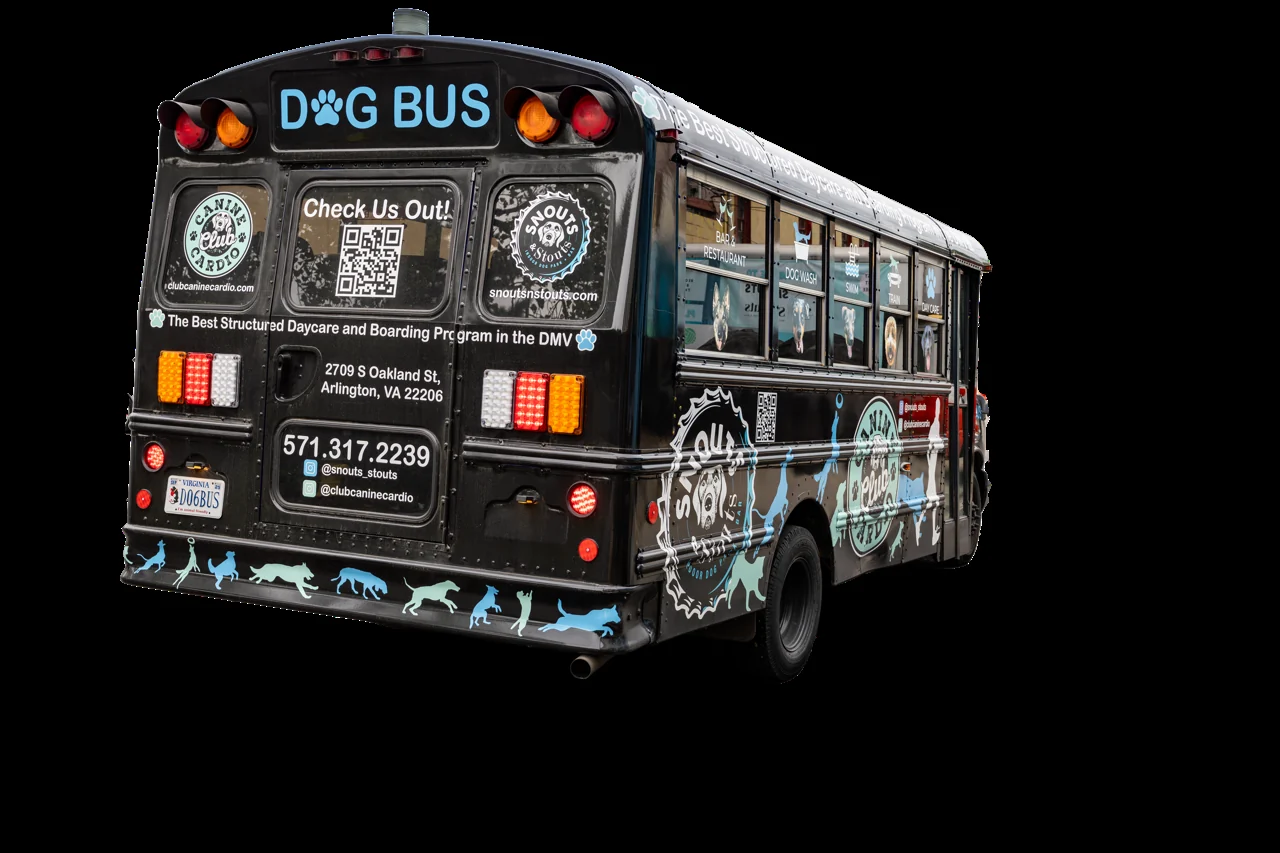 Three-quarter rear view of the Canine Cardio Dog Bus