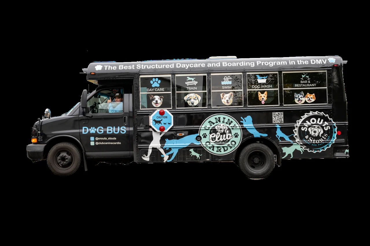 The black Canine Cardio Dog Bus wrapped with daycare, training, swim, and dog wash decals