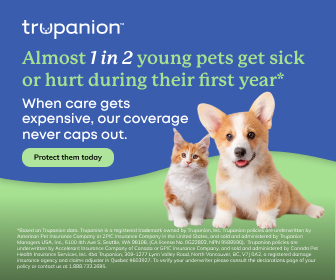 Trupanion pet insurance with a cat and a corgi