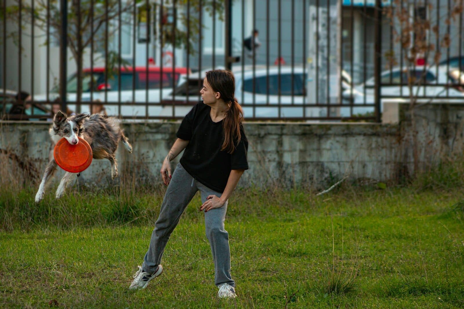 Woman throws frisbee for dog in park