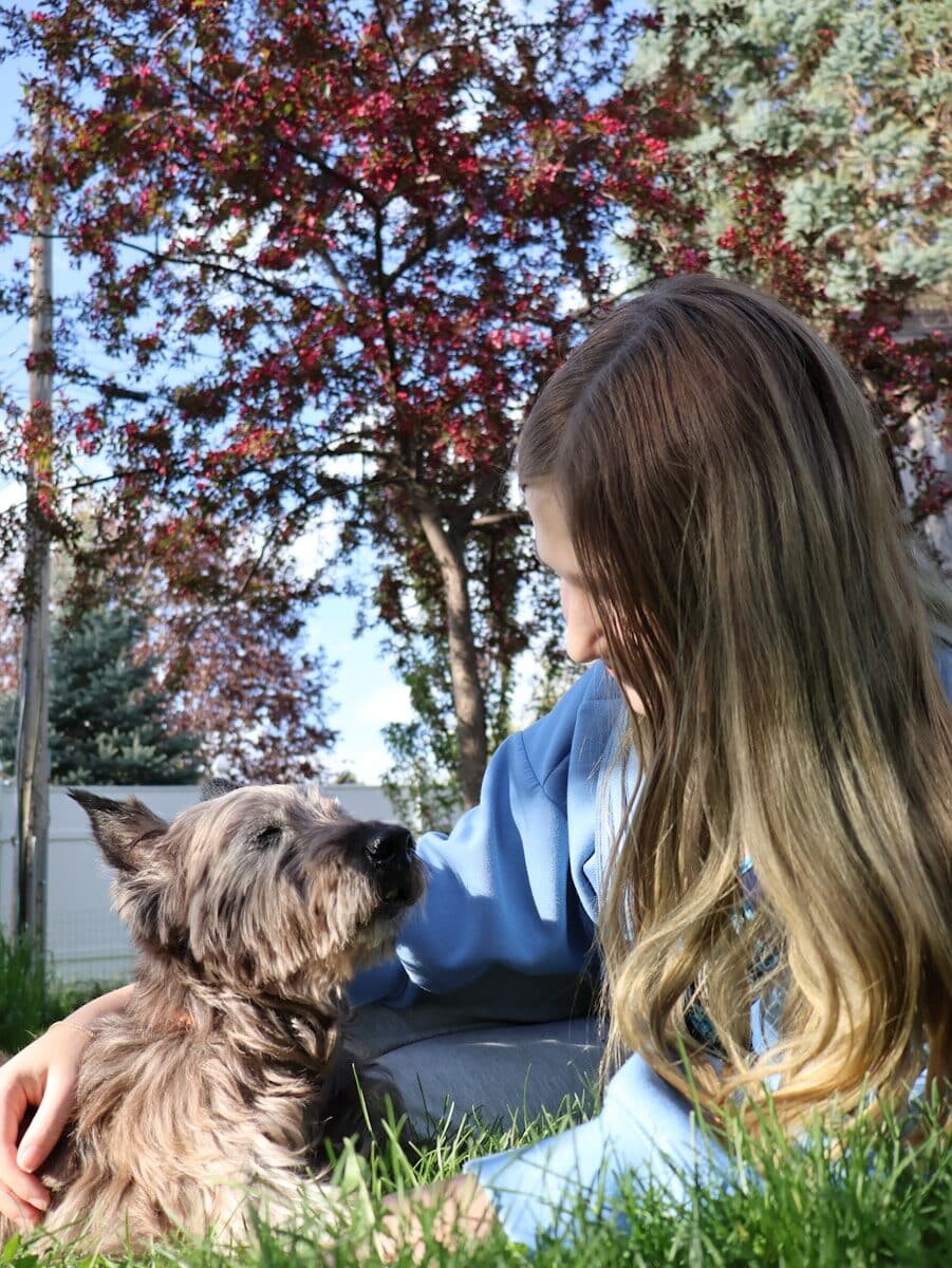 A girl petting a dog outdoors under a tree.