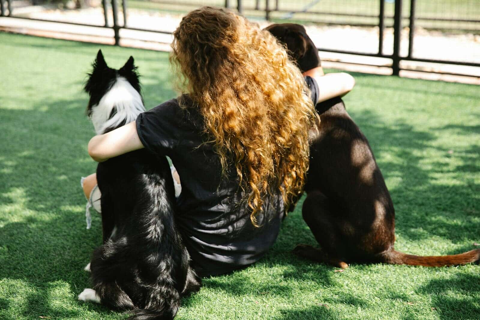 dog boarding facility in alexandria virginia