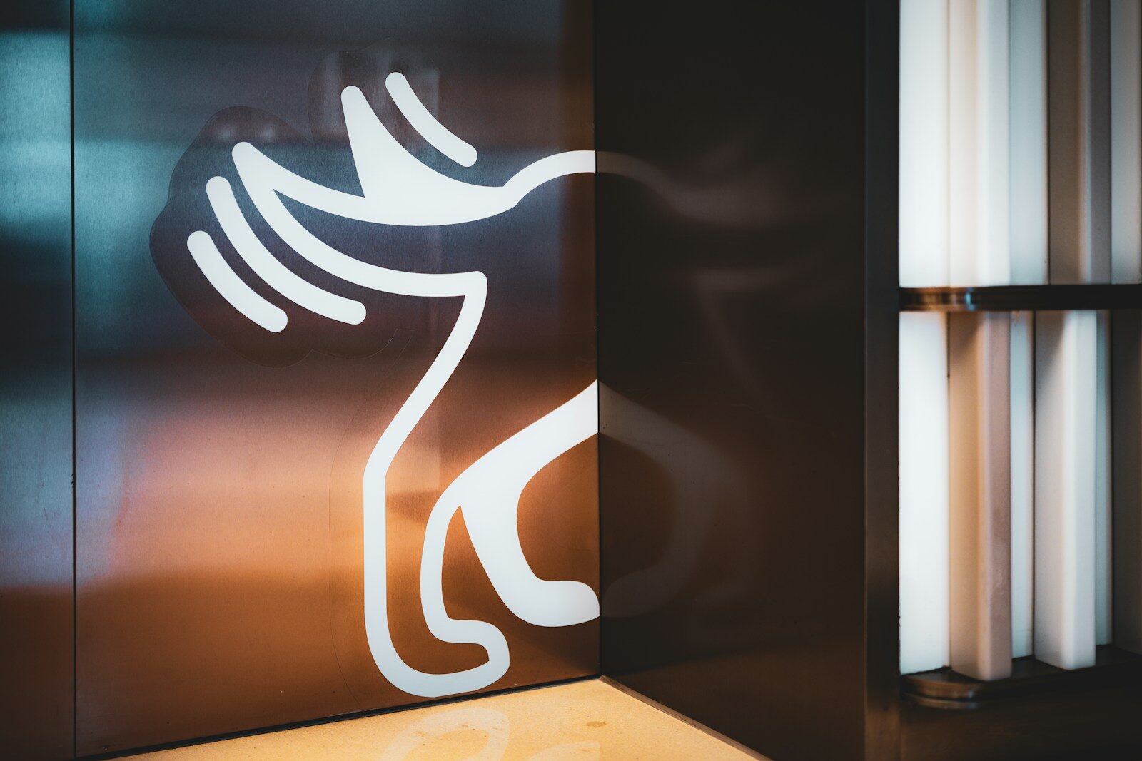 dog walker