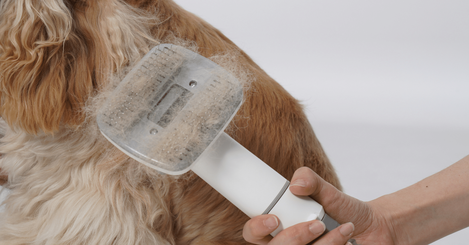 dog grooming brush with dogs fur in it