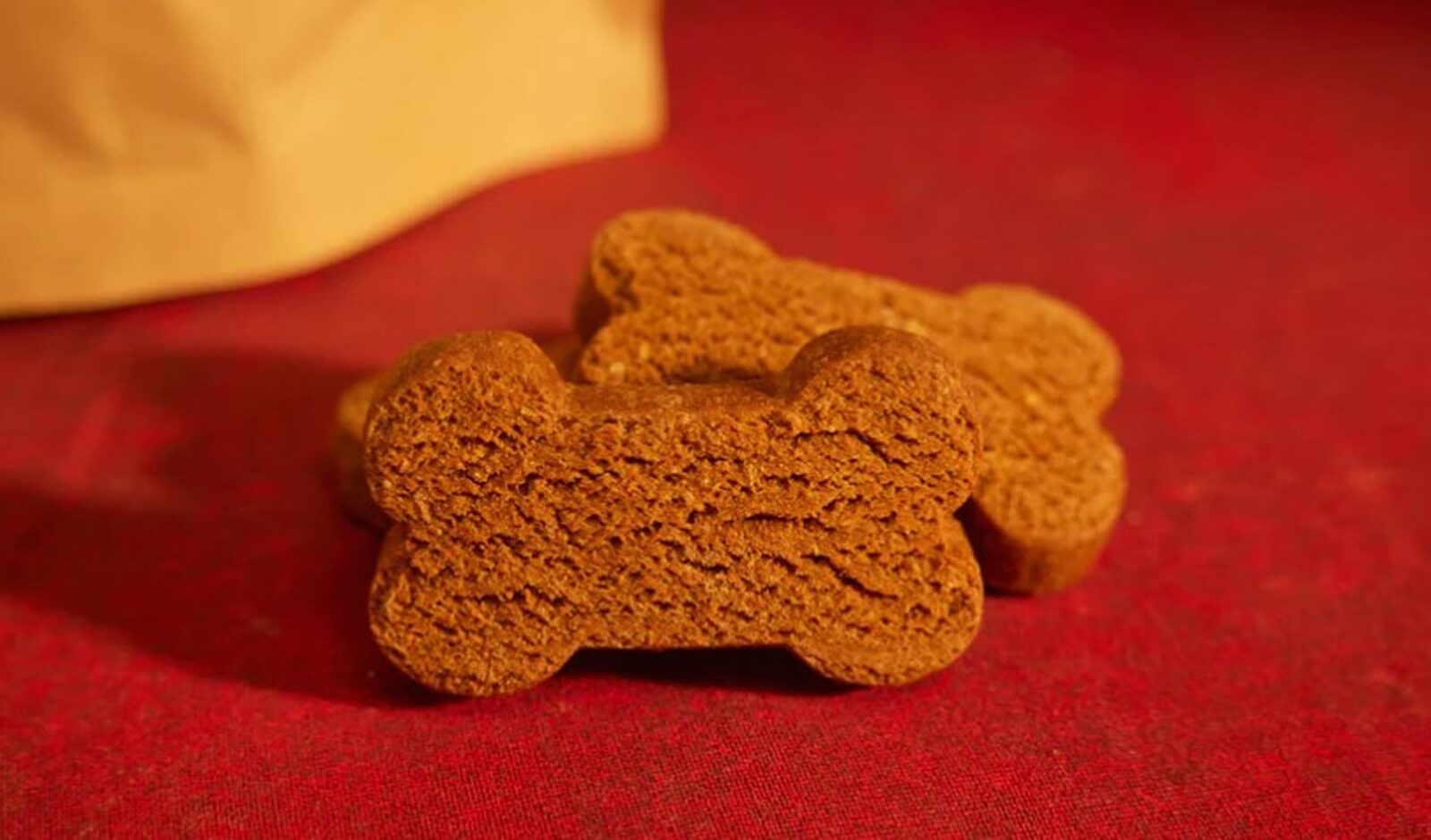 dog treats